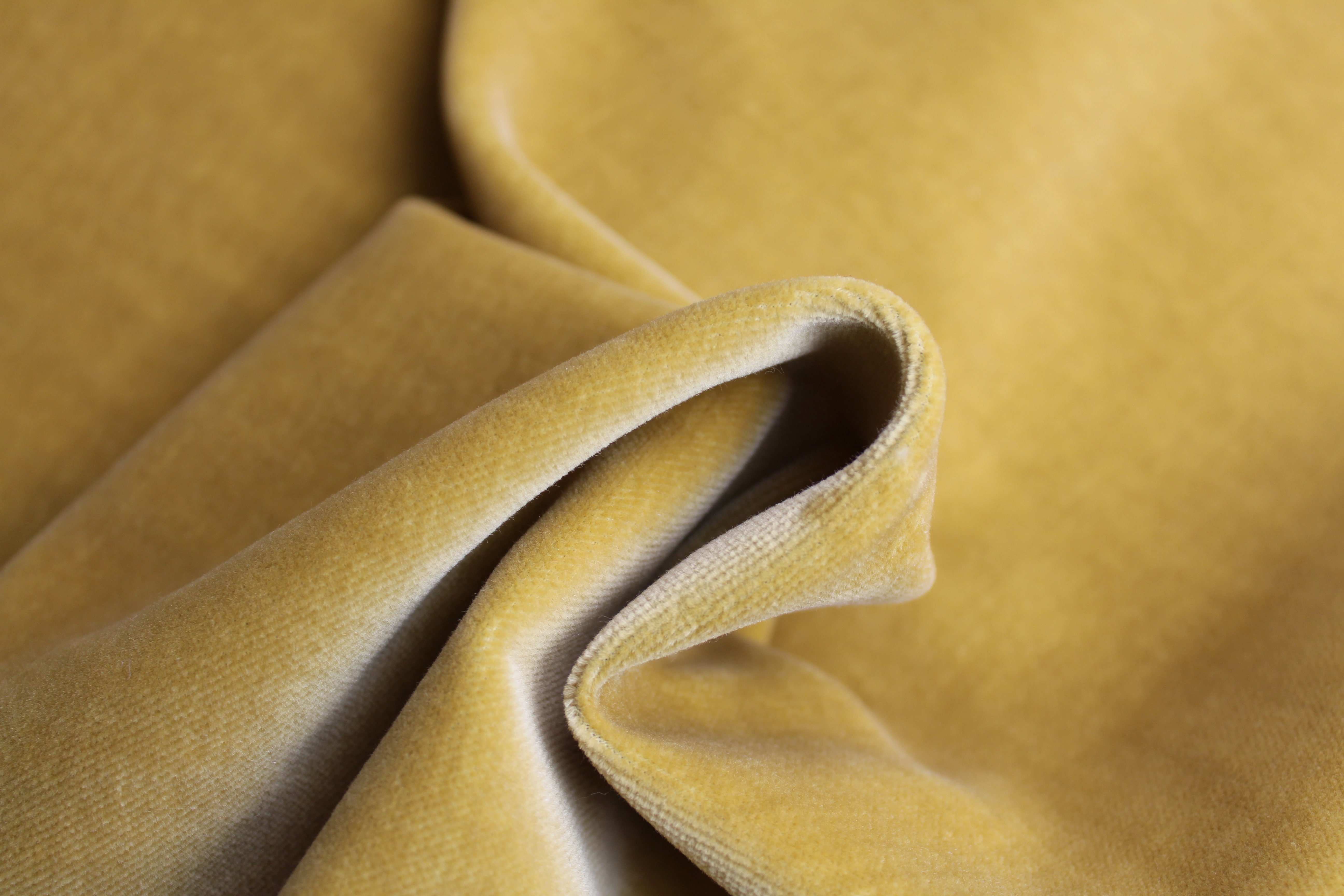 COTTON MODAL VELVET - GOLD